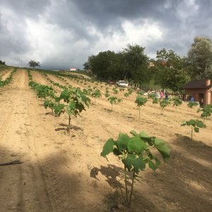 Drugovići kod Banja Luke 